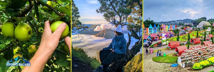 Mount Bromo Malang Batu Tour - 4 Days 3 Nights